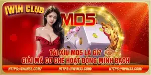 Tài xỉu MD5 là gì? Giải mã cơ chế hoạt động minh bạch