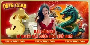 Bài Rồng Hổ – Bí quyết đặt cược hiệu quả nhất